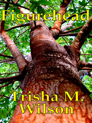 cover image of Figurehead